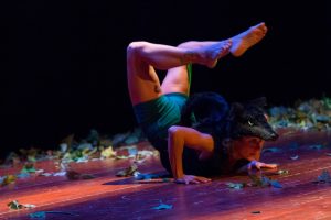 2www016_10_30_Cappuccetto-Rosso_00996